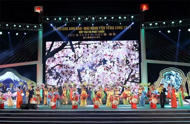 Khai mạc Lễ hội Hoa Anh đào – Mai vàng Yên Tử, Hạ Long 2017.