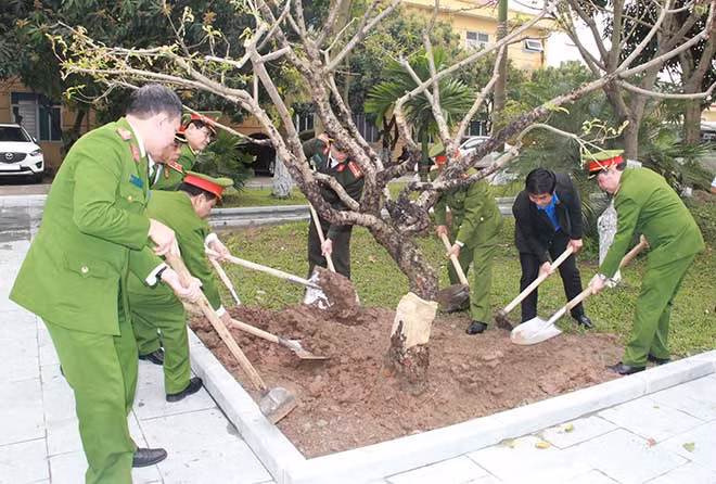 Lãnh đạo Tổng cục VIII trồng cây hưởng ứng Tết trồng cây “đời đời nhớ ơn Bác Hồ".