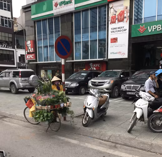 Trên phố Tây Sơn, người bán cây cảnh vô tư đậu xe dưới lòng đường bán hàng, trên vỉa hè thì xe máy đậu chắn hết lối đi dành cho người đi bộ... Cách đó không xa, xe ba gác tự chế đậu chiếm hết vỉa hè chờ đợi khách gọi chở hàng.