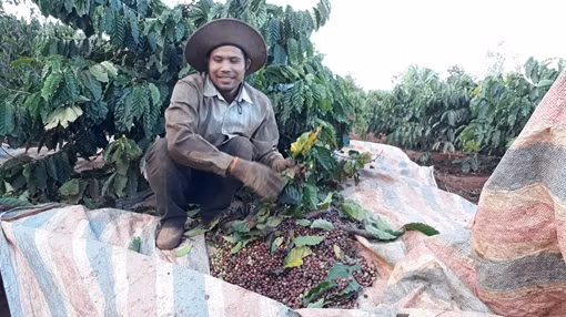 Những nụ cười nương rẫy ảnh 9