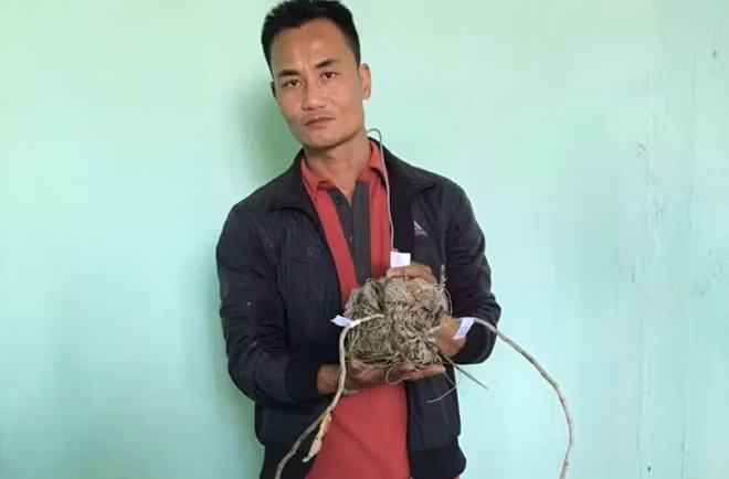Trần Hiền, đối tượng cầm đầu vụ trộm