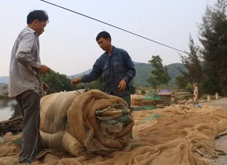 Do cá biển đánh bắt về bán không được nên nhiều ngư dân ở Huế đành thu dọn ngư lưới cụ, chờ "biển sạch" trở lại mới ra khơi.
