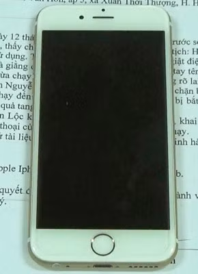 Tang vật