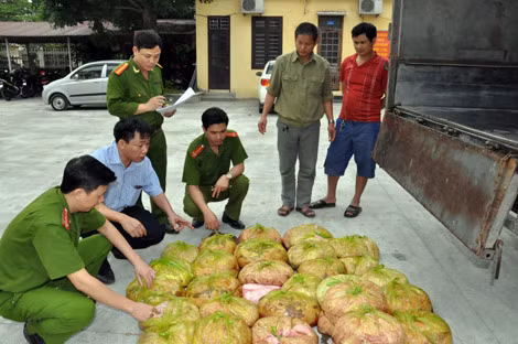 Trịnh Xuân Ánh và Vũ văn Soát là hai đối tượng đứng sát ô tô.