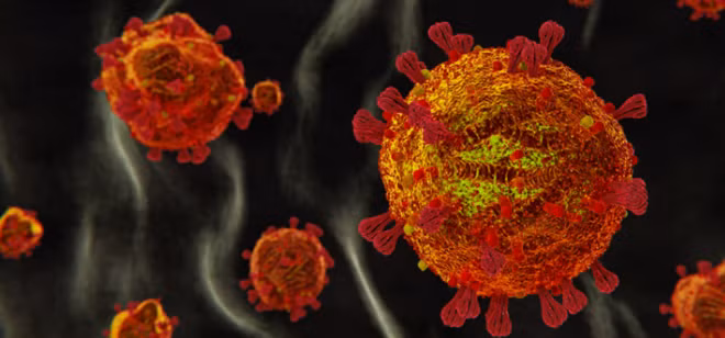 Hình ảnh mô phỏng của virus SARS-CoV-2. Ảnh: ITN