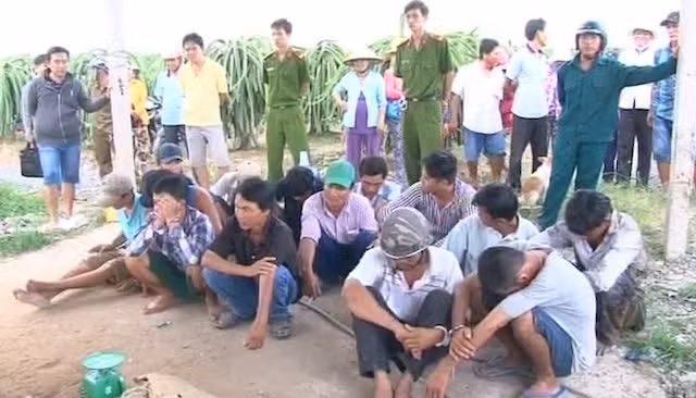 Các con bạc đá gà bị bắt quả tang.