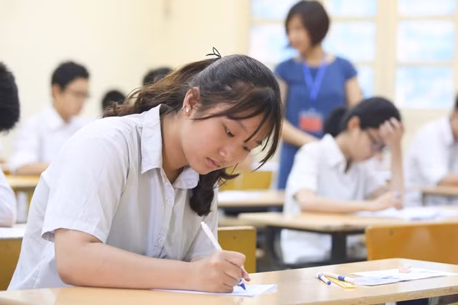 Năm nay, trên địa bàn Hà Nội có gần 95.000 thí sinh tham gia dự thi vào lớp 10 được bố trí thi tại 185 điểm thi với gần 4000 phòng thi và có hơn 10.000 giáo viên được huy động trông thi