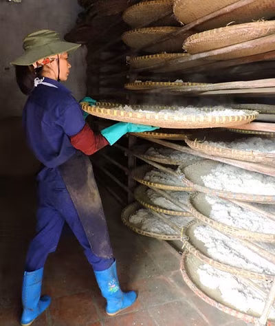 Vào mốc tương, một trong những công đoạn quan trọng nhất để tạo ra mẻ tương ngon, đúng vị tương Bần.