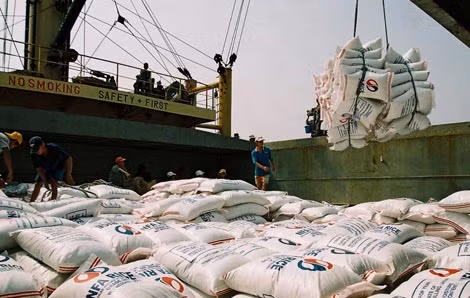 Gạo Việt Nam đang chịu sự cạnh tranh khốc liệt trên thị trường xuất khẩu.