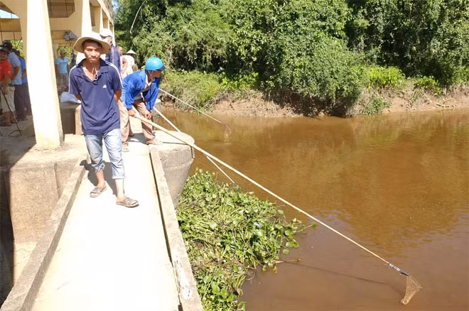 Hàng chục người dân địa phương gác việc nhà để ra sông đánh bắt cá.