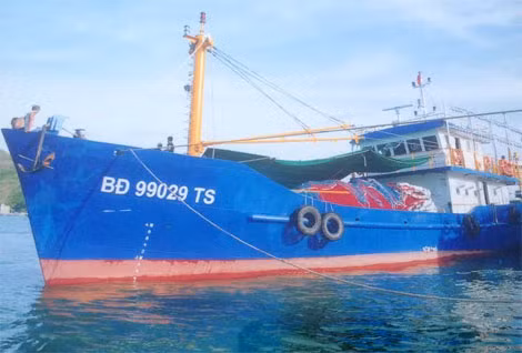 Tàu cá lưới vây đầu tiên do Công ty Nam Triệu bàn giao cho ngư dân Bình Định.
