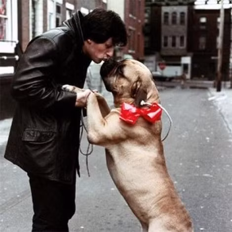 “Thần tượng cơ bắp” S. Stallone rất yêu quý động vật.