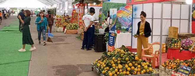 Hội chợ cam Cao Phong.