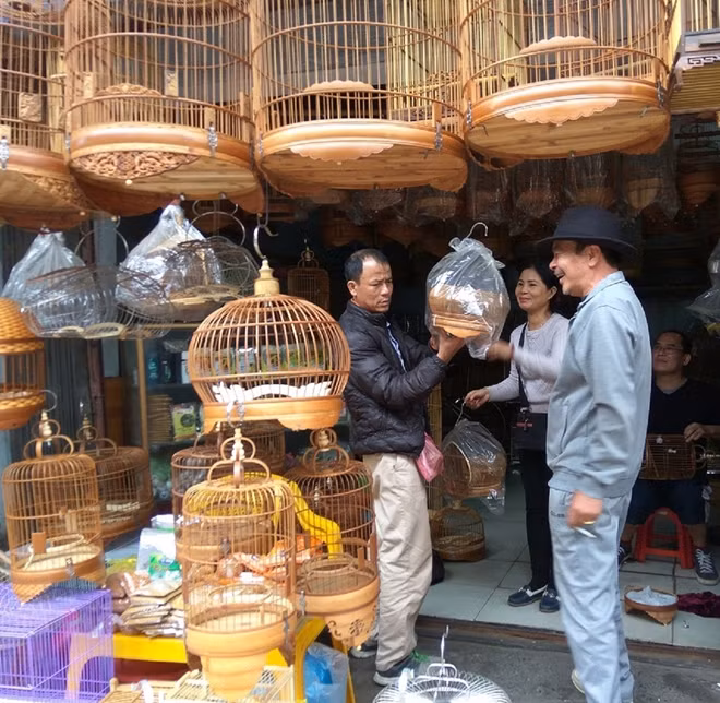 Một cửa hàng lồng chim.