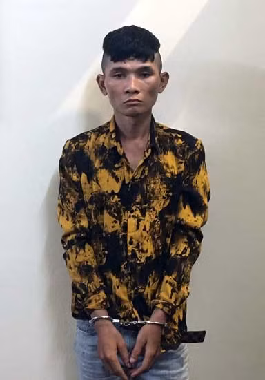Đối tượng Phạm Đình Sử.