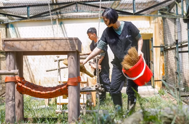 Gấu ở Trung tâm hàng ngày được ra khỏi chuồng để chơi, tắm nắng và "sinh hoạt cộng đồng" với các con gấu khác. Đồ chơi của chúng thường là những quả hồ lô có mật ong, vài loại củ quả được đặt ở những nơi kích thích trí tò mò của gấu. Đây cũng là một phương pháp để nghiên cứu thói quen, đặc tính của từng con gấu ở Trung tâm.