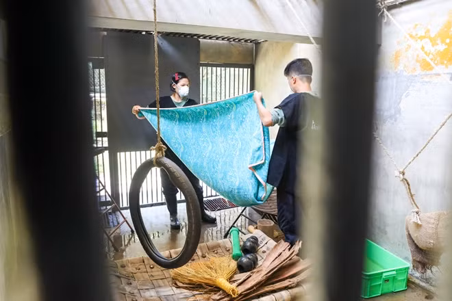 Vệ sinh chuồng cho gấu được thực hiện thường xuyên, đặc biệt là gấu con. Phải đảm bảo mọi điều kiện tốt nhất dành cho gấu phát triển.