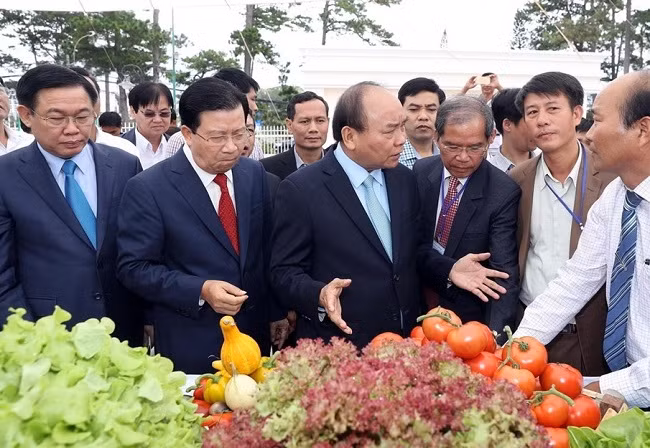 Thủ tướng thăm gian hàng trưng bày sản phẩm nông nghiệp bên hành lang hội nghị