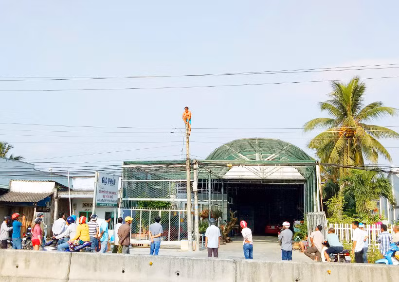 Thót tim với "người nhện" leo cột điện ảnh 3