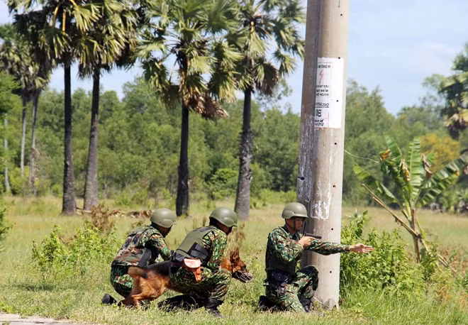 Chó nghiệp vụ được triển khai sẵn sàng