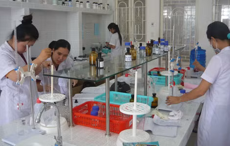 Sinh viên ngành Dược Trường ĐH Võ Trường Toản trong giờ thực hành.