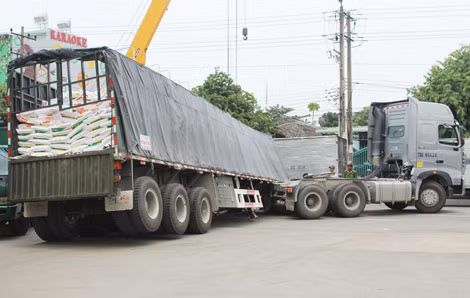 Hiện trường vụ việc.