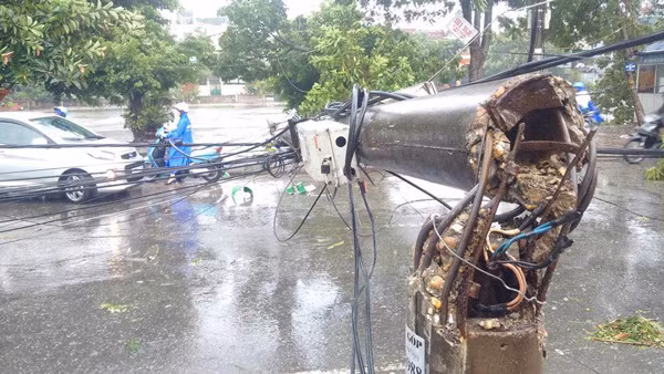 Ngành điện lực cho rằng, cột điện đổ la liệt trong bão số 1 là do công tác dự báo chưa chính xác