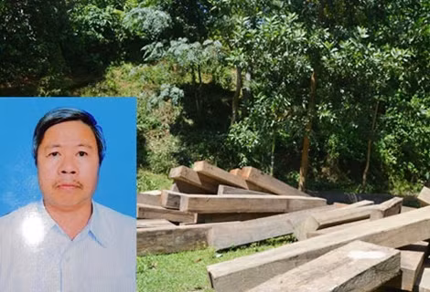 Phó giám đốc rừng phòng hộ Nguyễn Cường.