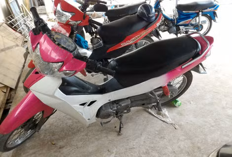 Tang vật được cơ quan chức năng thu giữ.