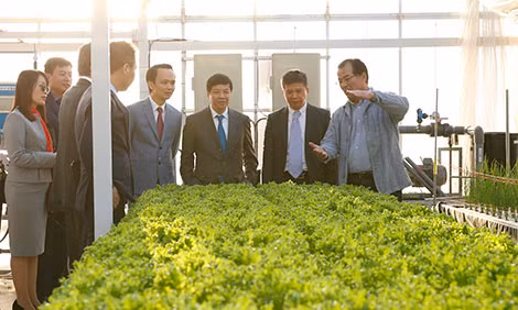 Ông Masayuki Iwai, Chủ tịch của Farmdo giới thiệu các công nghệ cao của nông nghiệp Nhật Bản