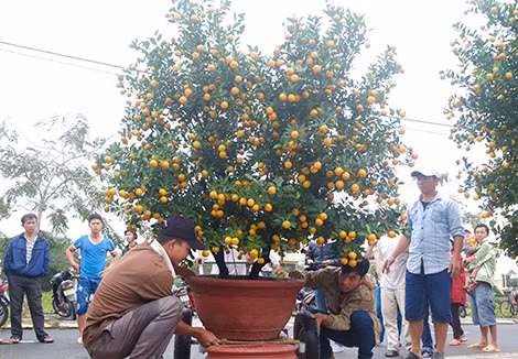 Từ sáng sớm, nhiều người dân đã tất bật chuẩn bị cho ngày hội.