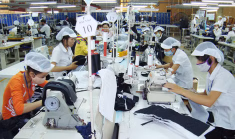 Doanh nghiệp cố tình chây ì, trốn đóng BHXH sẽ được chuyển cho cơ quan điều tra để xử lý hình sự.