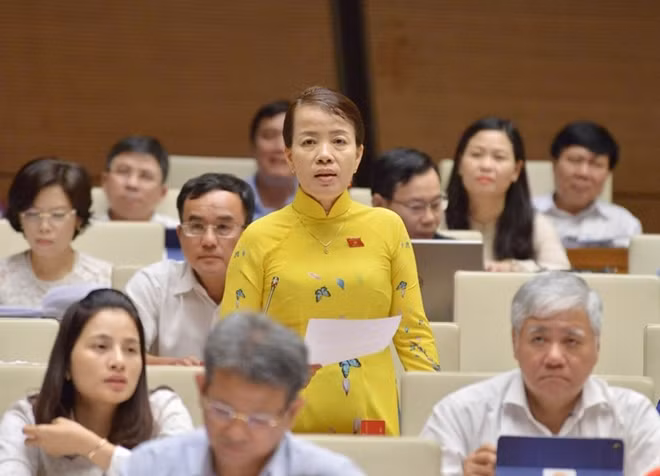 Đại biểu Nguyễn Thị Kim Thuý