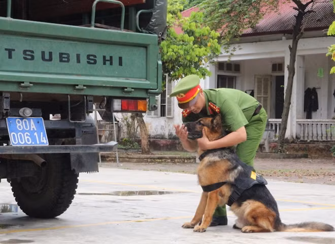 Chú chó nhận được sự động viên của cán bộ huấn luyện.