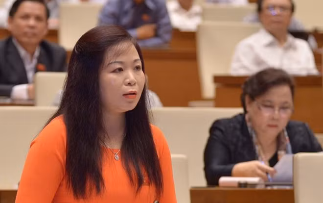 ĐBQH Vũ Thị Lưu Mai