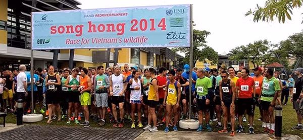 Các vận động viên tham gia giải chạy vì tê giác 2014.