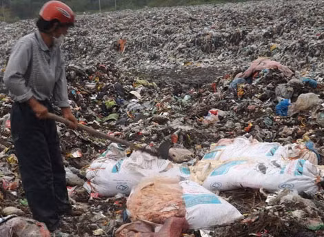 Tiêu hủy nội tạng động vật không có nguồn gốc tại bãi rác Ngọc Sơn.