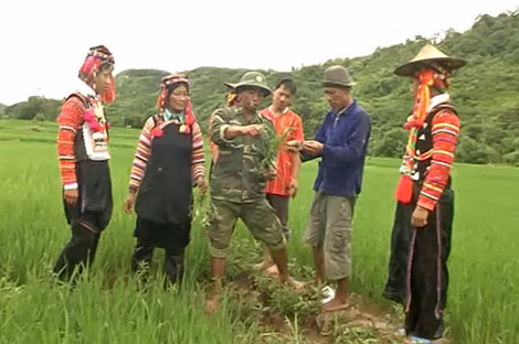 Cán bộ, chiến sỹ của đồn BP Mường Nhé trực tiếp tham gia lao động sản xuất cùng bà con nhân dân, chuyển giao khoa học kỹ thuật. Cán bộ, chiến sỹ của đồn BP Mường Nhé trực tiếp tham gia lao động sản xuất cùng bà con nhân dân, chuyển giao khoa học kỹ thuật.