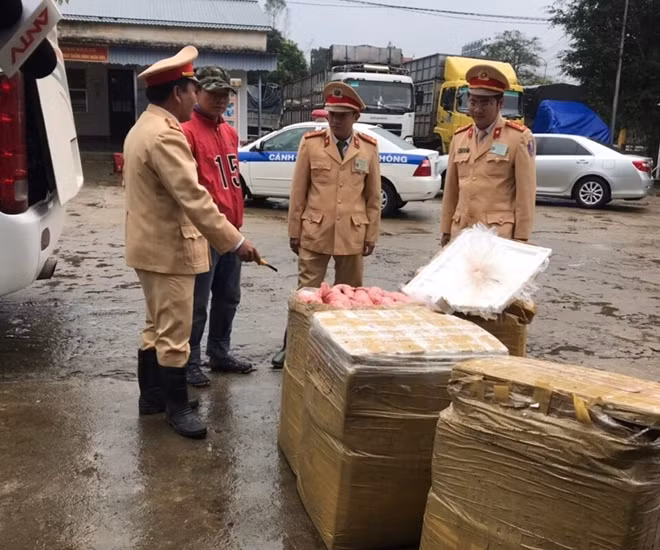 Lực lượng Trạm CSGT Phú Lộc kiểm tra số nội tạng không có hóa đơn chứng từ được vận chuyển trên xe khách.