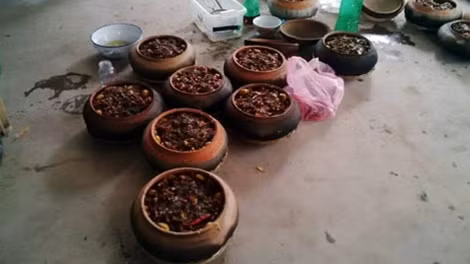 Những niêu cá sau khi đã kho xong.