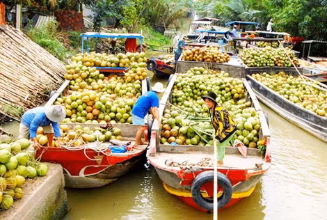 Trong 10 năm mở rộng và phát triển, sản phẩm từ dừa Bến Tre có mặt ở 80 quốc gia và vùng lãnh thổ.