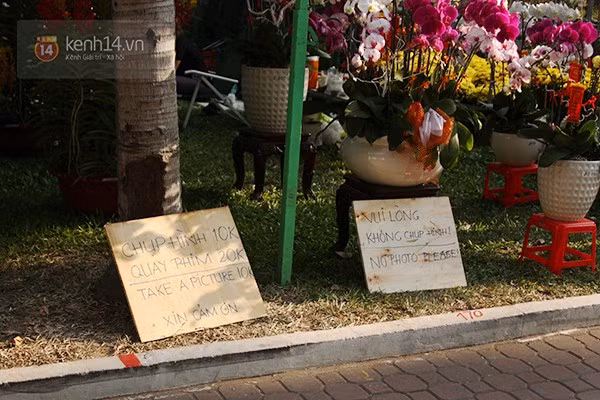 Khi hỏi lý do vì sao có những tấm biển này, một sinh viên phụ bán hoa đào cho chủ vựa chia sẻ:"Thật ra gian hàng treo biển như vậy để hạn chế tình trạng khách kéo đến, đứng đầy vựa hoa mà chỉ chụp ảnh, tạo dáng, rồi vô ý làm gãy cành, rụng hoa, sau đó thản nhiên... bỏ đi mà không mua gì cả. Dù để biển thu phí nhưng không phải cứ thấy khách nào lân la chạy đến chụp ảnh là chúng tôi "vòi" tiền đâu. Chỉ khi những người mẫu, các bạn trẻ thuê quần áo đẹp kéo đến, có máy hình "khủng", máy quay phim, rồi các dụng cụ máy móc hỗ trợ khác gây choáng chỗ bán thì chúng tôi mới tính phí".