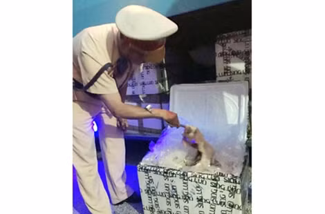 Hiện trường vụ việc.
