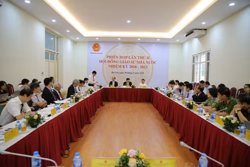 Thẩm tra các ứng viên GS, PGS có bài báo công bố nhiều bất thường ảnh 3