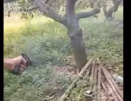 Và bắn thử