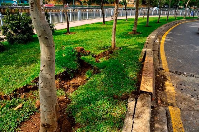 Bên trong vỉa hè, nhiều mảng xanh bị cày xới