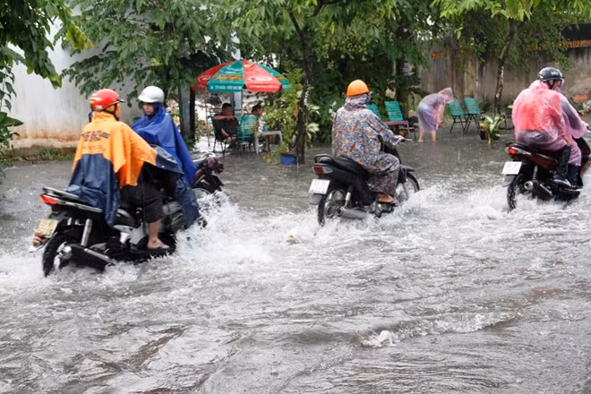 Mưa nhỏ nhưng do triều cường cao nên nhiều tuyến đường bị ngập