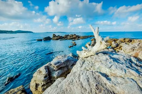 Mũi Ông Đội tại Phú Quốc.