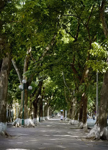Ảnh trong bài: Đình Nguyễn.