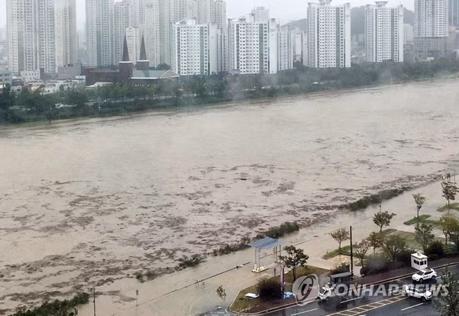 Mực nước tại các con sông ở Ulsan dâng cao tới mức báo động vì mưa lũ. Ảnh: Yonhap